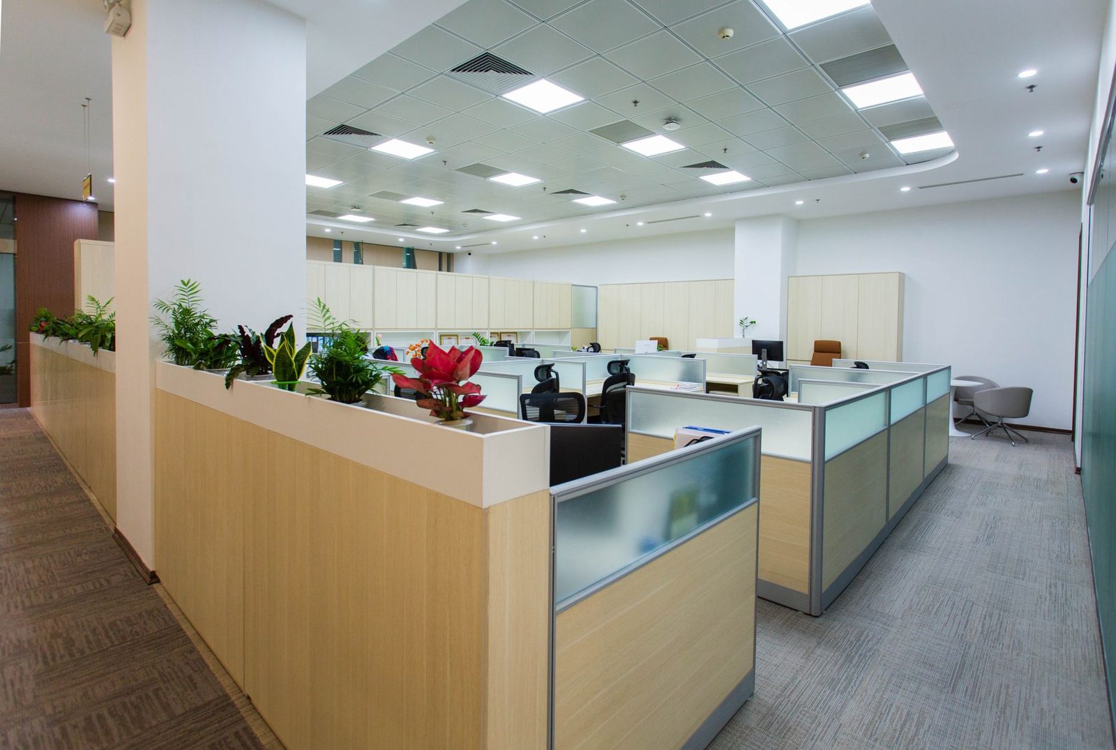 Ufficio panoramico a EUR – 15/15